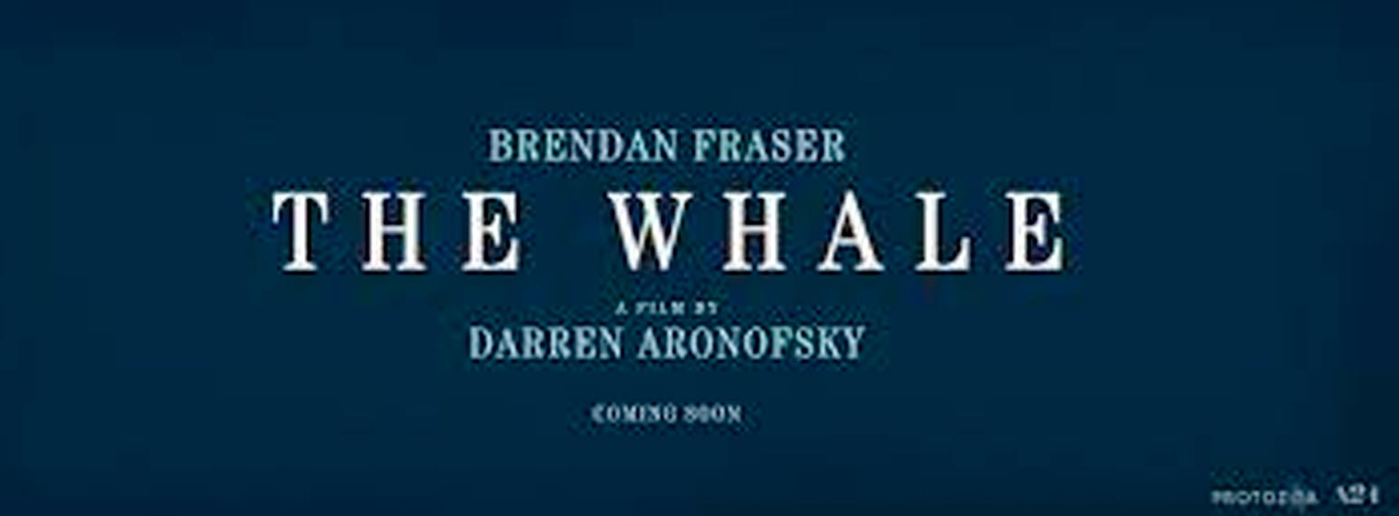 The whale dal 23 febbraio